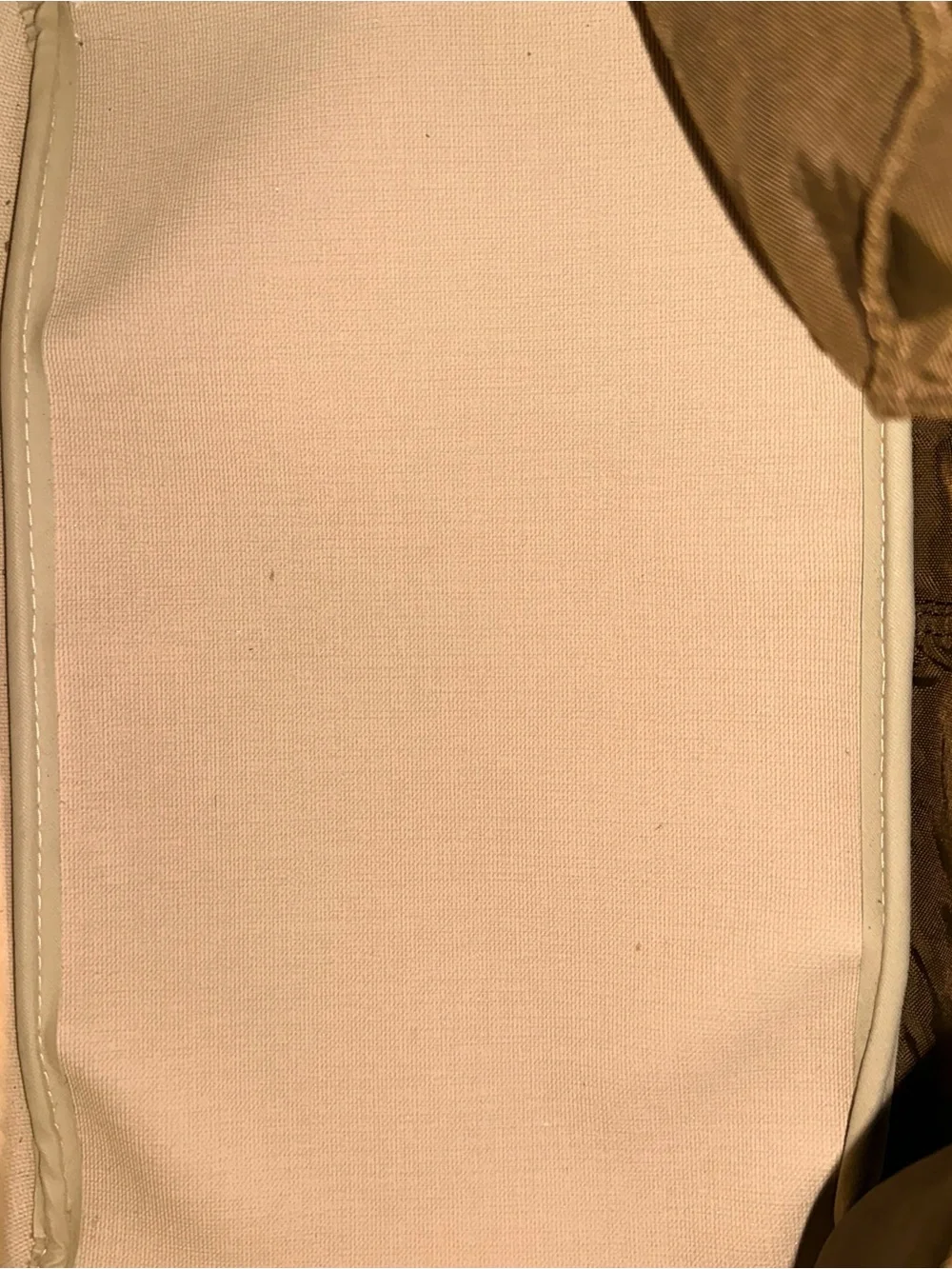 Louis Vuitton Brown Monogram Evasion